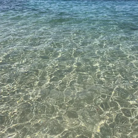 Riu Rau * Alicante