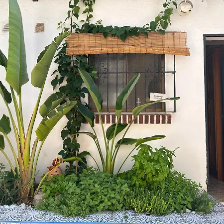 Riu Rau Apartment Alicante